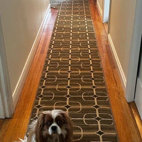French Bros Grey Brown Rug For Hallway